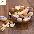 Hot Selling New Crop Shelled Almond in Bulk